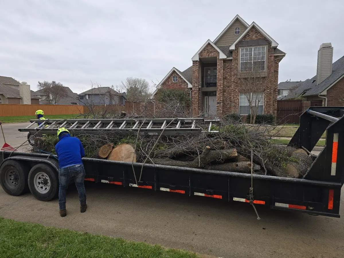 Expert Lot Clearing with proper safety equipment in Talmage